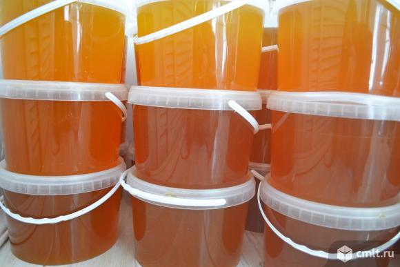 Продам мед натуральный. Фото 1.