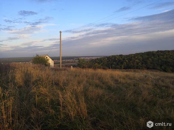 Петино воронежская область фото