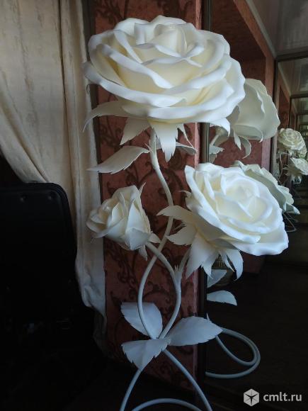 Розы гиганты. Фото 5.