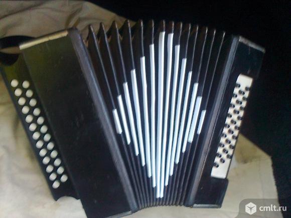 гармонь чайка м 302. гармонь воронеж. армавирская гармонь 1960. гармонь воронеж. гармонь теза.