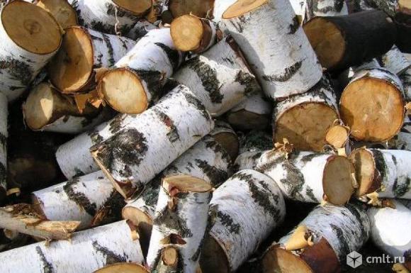 дрова берёзовыеберёза