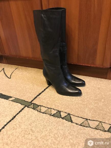 Сапоги  женские демисезонные. Фото 1.
