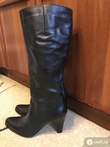 Сапоги  женские демисезонные. Фото 2.