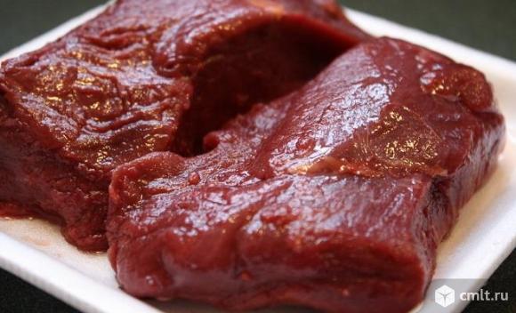 Столовые страусиные яйца и мясо страуса. Фото 2.