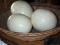 Столовые страусиные яйца и мясо страуса. Фото 1.