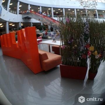 Relax, кафе. Фото 1.