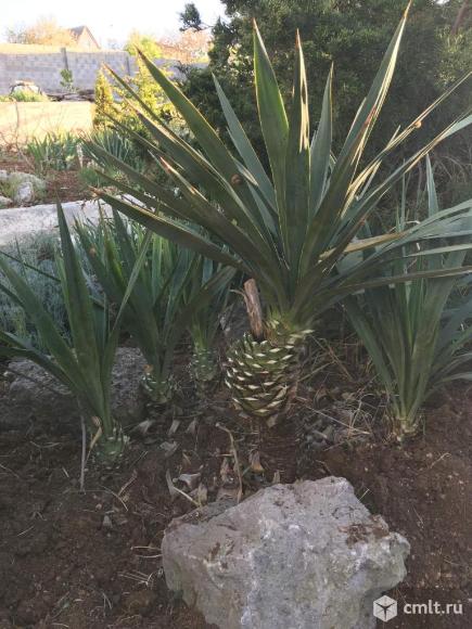 Продается: дом 100 м2 на участке 10 сот.. Фото 7.