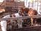 Продам домашних бычков и телочек порода сементал и комолые на откорм от 5 месяцев. Фото 4.