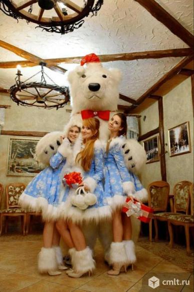 Медведи - Аниматоры.. Фото 12.