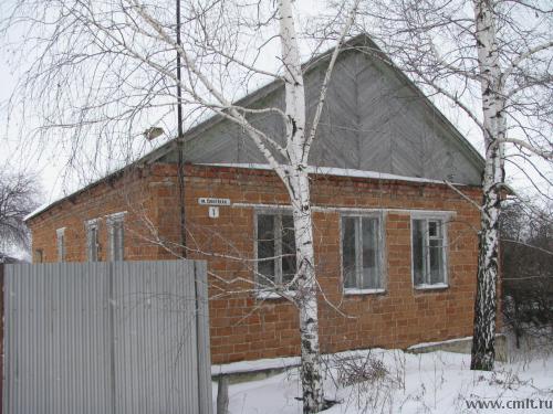 Частный дом в Воронежской области