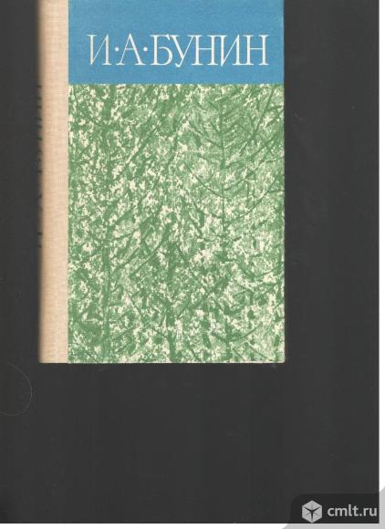 И.А.Бунин.. Фото 1.