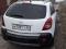 Opel Antara - 2011 г. в.. Фото 3.