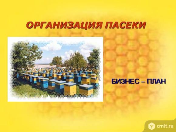 Услуга пчеловода Воронежа и области.. Фото 1.