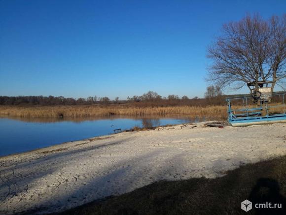 Село Нелжа Рамонского района