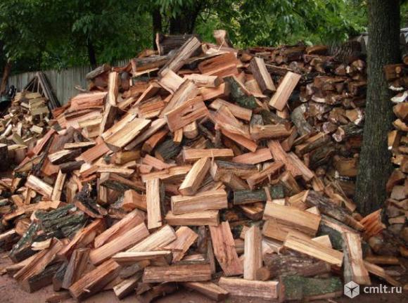Дрова дуб. Фото 1.