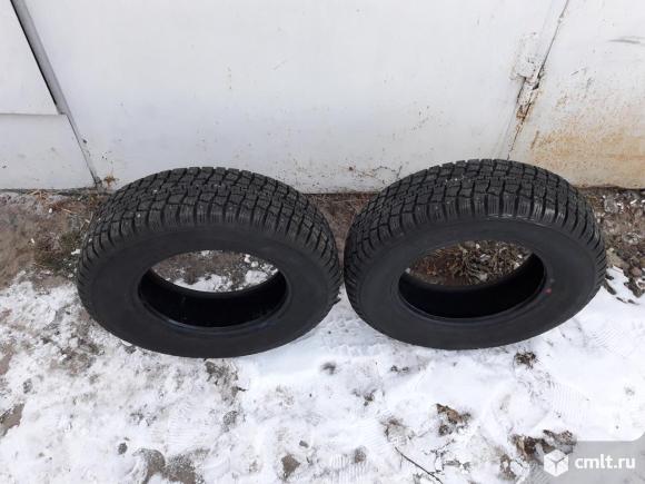 Шины  зимние  шипованные  КАМА 503  175/70 R13. Фото 1.