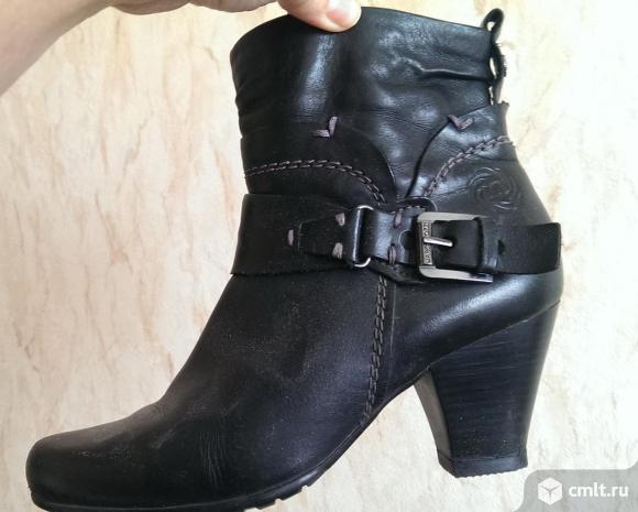 Полусапожки Marco Tozzi. Германия. Размер 38. Состояние хорошее. Натуральная кожа. Новые набойки.. Фото 1.