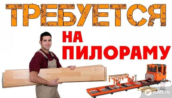 Пилорамщик на ленточной пилораме. Фото 1.