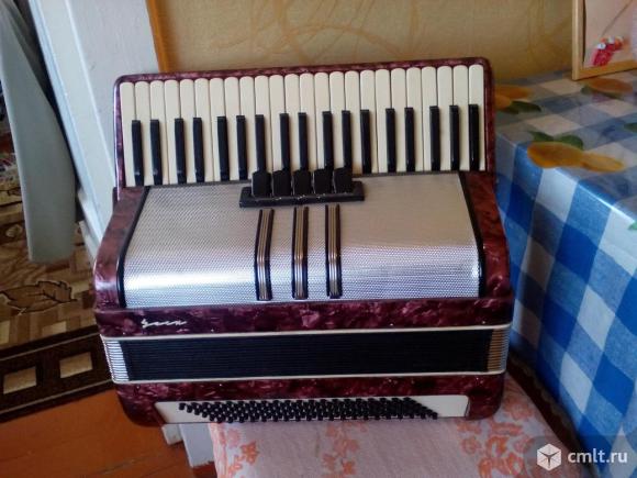 Аккордеон. Фото 1.