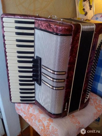 Аккордеон. Фото 2.