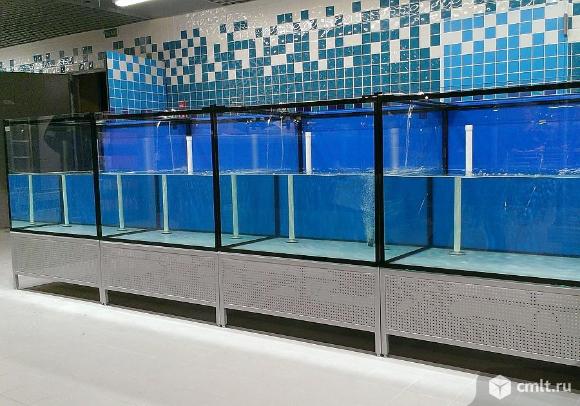 Оборудование для магазина "Живая рыба".. Фото 1.
