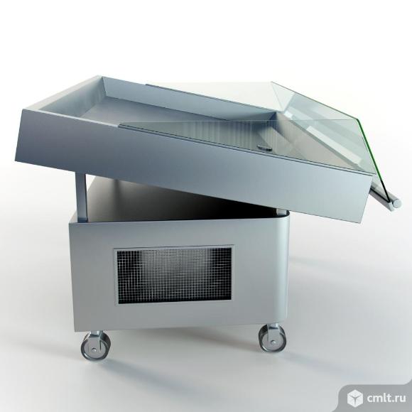 Оборудование для магазина "Живая рыба".. Фото 2.