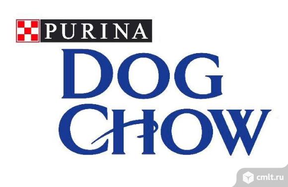 DOG chow корма для собак 14 кг. Фото 1.