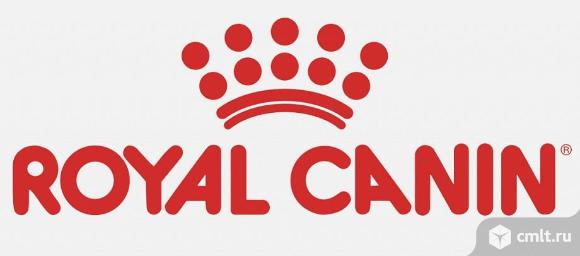 Корма Royal Canin для собак и кошек. Фото 1.
