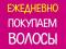 Волосы покупаем ежедневно. Очень дорого! Стрижка беслпатно. Фото 1.