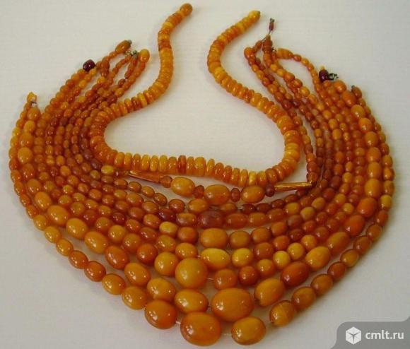 Дорого куплю янтарные бусы и украшения из янтаря. Фото 1.