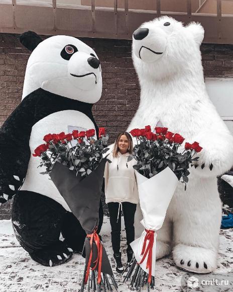 Медведи - Аниматоры.. Фото 1.