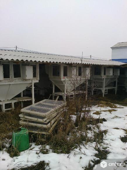 Клетки для разведения кроликов. Фото 5.