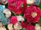 Розы в горшочке из атласных лент.. Фото 5.