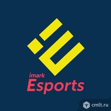 Imark Esports – крупное киберспортивное медиа-агентство в Казахстане.. Фото 1.