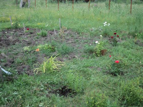 Новоусманский р-н СНТ Отрада. Фото 1.