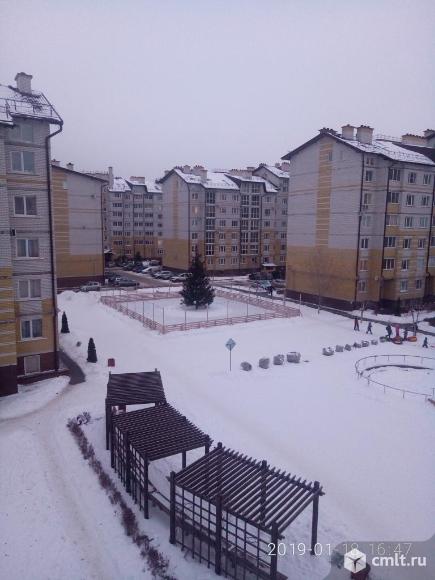 обл. отрадное воронеж ул 50лет октября. новый квартал отрадное. жк отрадное воронеж. москва отрадное купить квартиру.