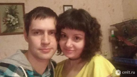 Семейная пара снимет квартиру. Фото 1.