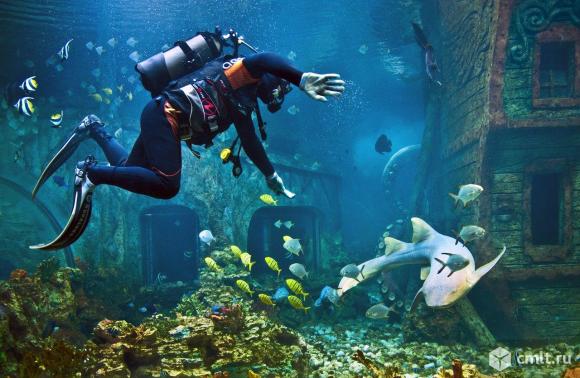 Разнорабочий. Фото 3.