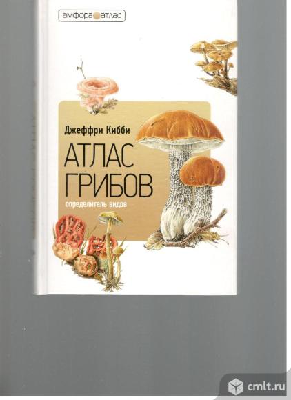 Амфора-Атлас. Фото 1.