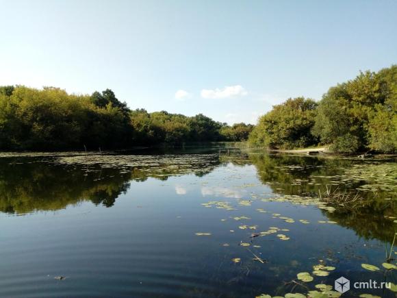 Курортная зона для отдыха и круглогодичного проживания. Фото 1.