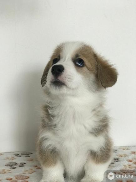 Мальчик