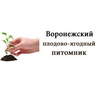 Воронежский плодово-ягодный питомник. Фото 1.