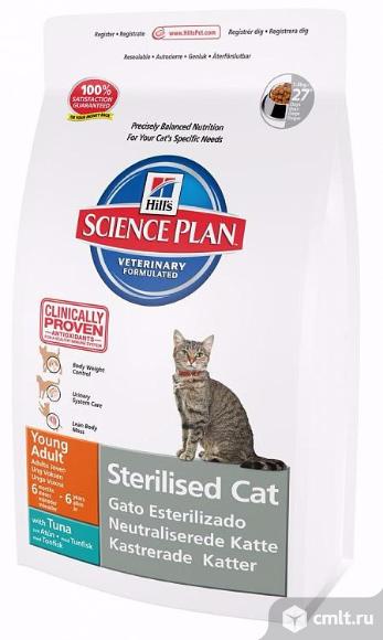 Hill's Science Plan Sterilised Cat корм для молодых кошек от 6 месяцев до 6 лет курица 8 кг. Фото 1.
