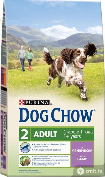 Корм DOG CHOW сух. д/собак ягненок 14кг. Фото 1.