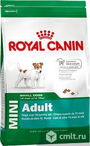 Корм ROYAL CANIN сух. д/собак мелких пород Мини Эдалт 2 кг. Фото 1.