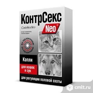 КонтрСекс NEO капли для кошек и сук 2мл. Фото 1.