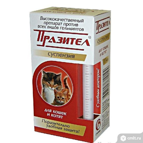 Празител-суспензия для кошек и котят. Фото 1.