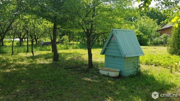 Урочище чижовская дача фото