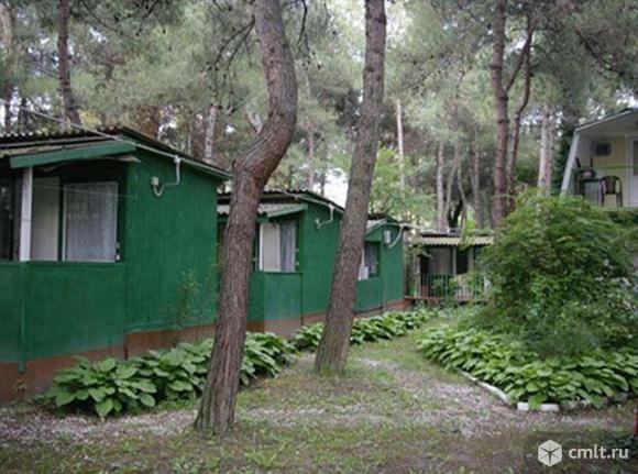 Автобусом к морю. База отдыха «Зеленый Гай». Заезд с 06.07 по 15.07 c. Фото 5.