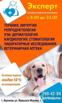 Ветеринарная Клиника Эксперт